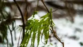Zimowe i pochmurne kolory Mazur w okolicach Kruklanek - zdjęcie 70