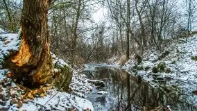Zimowe i pochmurne kolory Mazur w okolicach Kruklanek - zdjęcie 54