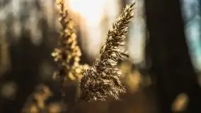 Późno jesienne jezioro Śniardwy i Okartowo 2020 r. - zdjęcie 16