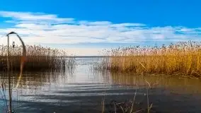 Późno jesienne jezioro Śniardwy i Okartowo 2020 r. - zdjęcie 12