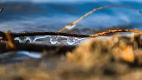 Późno jesienne jezioro Śniardwy i Okartowo 2020 r. - zdjęcie 29