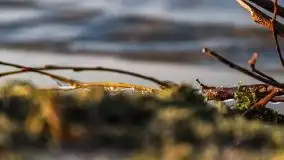 Późno jesienne jezioro Śniardwy i Okartowo 2020 r. - zdjęcie 32