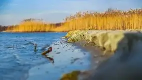 Późno jesienne jezioro Śniardwy i Okartowo 2020 r. - zdjęcie 30