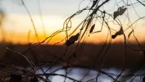 Wschód słońca nad jeziorem Gołdopiwo - zdjęcie 12