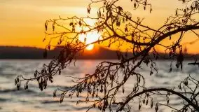 Wschód słońca nad jeziorem Gołdopiwo - zdjęcie 42