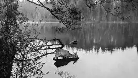 Przedwojenne zdjęcia Szczytna (Ortelsburg) - zdjęcie 81