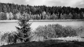 Przedwojenne zdjęcia Wydmin (Wydminnen) - zdjęcie 23