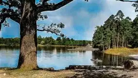 Przedwojenne i pokolorowane zdjęcia Rucianego Nidy (Rudczanny, Niedersee) - zdjęcie 26