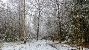 Zimowa szarówka w okolicach Kruklina, Gawlika Małego i Wydmin - zdjęcie 11