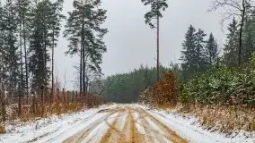 Zimowa szarówka w okolicach Kruklina, Gawlika Małego i Wydmin - zdjęcie 35
