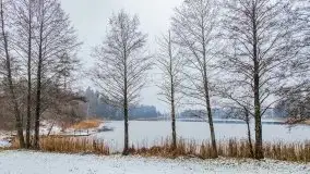 Zimowa szarówka w okolicach Kruklina, Gawlika Małego i Wydmin - zdjęcie 40