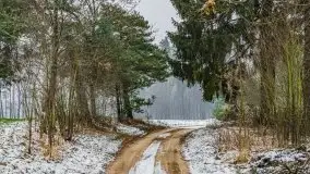 Zimowa szarówka w okolicach Kruklina, Gawlika Małego i Wydmin - zdjęcie 57