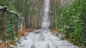 Zimowa szarówka w okolicach Kruklina, Gawlika Małego i Wydmin - zdjęcie 65