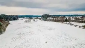 Posypało na Mazurach - zobacz okolice wsi Gajrowskie i Orłowo - zdjęcie 52