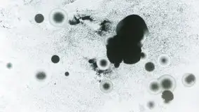 Miłośnicy Mazur - zimowe zdjęcia Szczytna - zdjęcie 7