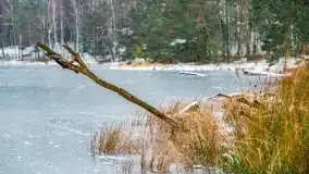 Zima nad jeziorem Wesołek, okolice Rucianej Nidy - zdjęcie 48