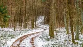 Zima nad jeziorem Wesołek, okolice Rucianej Nidy - zdjęcie 16
