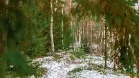 Zima nad jeziorem Wesołek, okolice Rucianej Nidy - zdjęcie 49