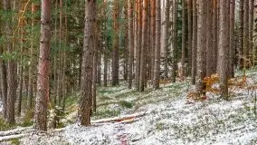 Zima nad jeziorem Wesołek, okolice Rucianej Nidy - zdjęcie 40