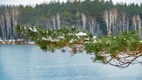 Zima nad jeziorem Wesołek, okolice Rucianej Nidy - zdjęcie 37