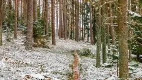 Zima nad jeziorem Wesołek, okolice Rucianej Nidy - zdjęcie 63