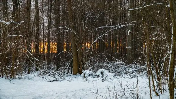 Zimowy zachód słońca między jeziorem Dargin i Sztynorckie - zdjęcie 2