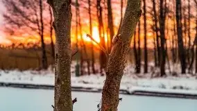 Zimowy zachód słońca między jeziorem Dargin i Sztynorckie - zdjęcie 1