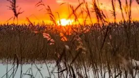 Zimowy zachód słońca między jeziorem Dargin i Sztynorckie - zdjęcie 7