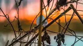 Zimowy zachód słońca między jeziorem Dargin i Sztynorckie - zdjęcie 36