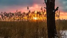 Zimowy zachód słońca między jeziorem Dargin i Sztynorckie - zdjęcie 33