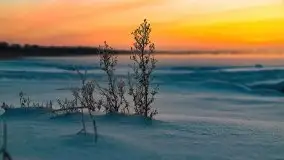 Zimowy wschód słońca nad jeziorem Dargin i... -27 stopni - zdjęcie 39