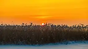 Zimowy wschód słońca nad jeziorem Dargin i... -27 stopni - zdjęcie 74