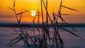 Zimowy wschód słońca nad jeziorem Dargin i... -27 stopni - zdjęcie 18