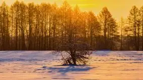 Zimowy wschód słońca nad jeziorem Dargin i... -27 stopni - zdjęcie 111