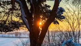 Zachód słońca nad jeziorem Święcajty, Cmentarz wojenny Jagerhohe - zdjęcie 36