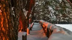 Zachód słońca nad jeziorem Święcajty, Cmentarz wojenny Jagerhohe - zdjęcie 46