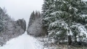 Mazurskie zwierzęta i pełnia zimy na zdjęciach Jana Olchówki - zdjęcie 18