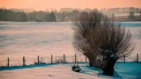 Mazurska zima na zdjęciach Staszka Sielewicza - zdjęcie 36