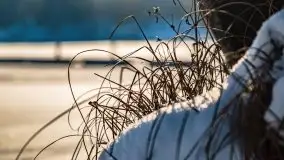 Stanica Wodna Stranda w zimowej scenerii - zdjęcie 31