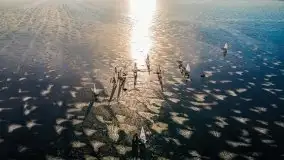 Bojery na jeziorze Dargin 2021 cz. 1 - zdjęcie 42