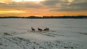 Wschód słońca w okolicach Sztynortu, zima 2021 - zdjęcie 11