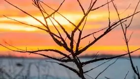 Wschód słońca w okolicach Sztynortu, zima 2021 - zdjęcie 9