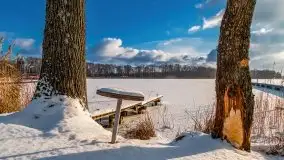 Port w Sztynorcie w zimowej scenerii, styczeń 2021 r. - zdjęcie 39