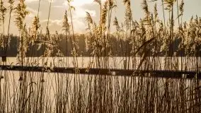 Port w Sztynorcie w zimowej scenerii, styczeń 2021 r. - zdjęcie 40