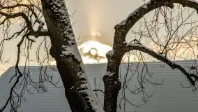 Port w Sztynorcie w zimowej scenerii, styczeń 2021 r. - zdjęcie 63