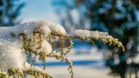 Zima w porcie AZS, jezioro Niegocin, 2021 r. - zdjęcie 41