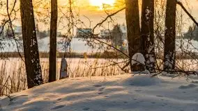 Zimowe Wydminy przed zachodem słońca, styczeń 2021 r. - zdjęcie 6