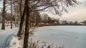 Zimowe Wydminy przed zachodem słońca, styczeń 2021 r. - zdjęcie 55