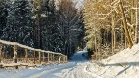 Kolejna dawka pięknej, mazurskiej zimy przy jez. Dargin - zdjęcie 9