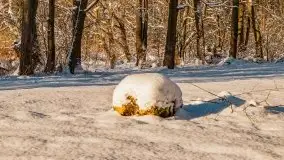 Kolejna dawka pięknej, mazurskiej zimy przy jez. Dargin - zdjęcie 18